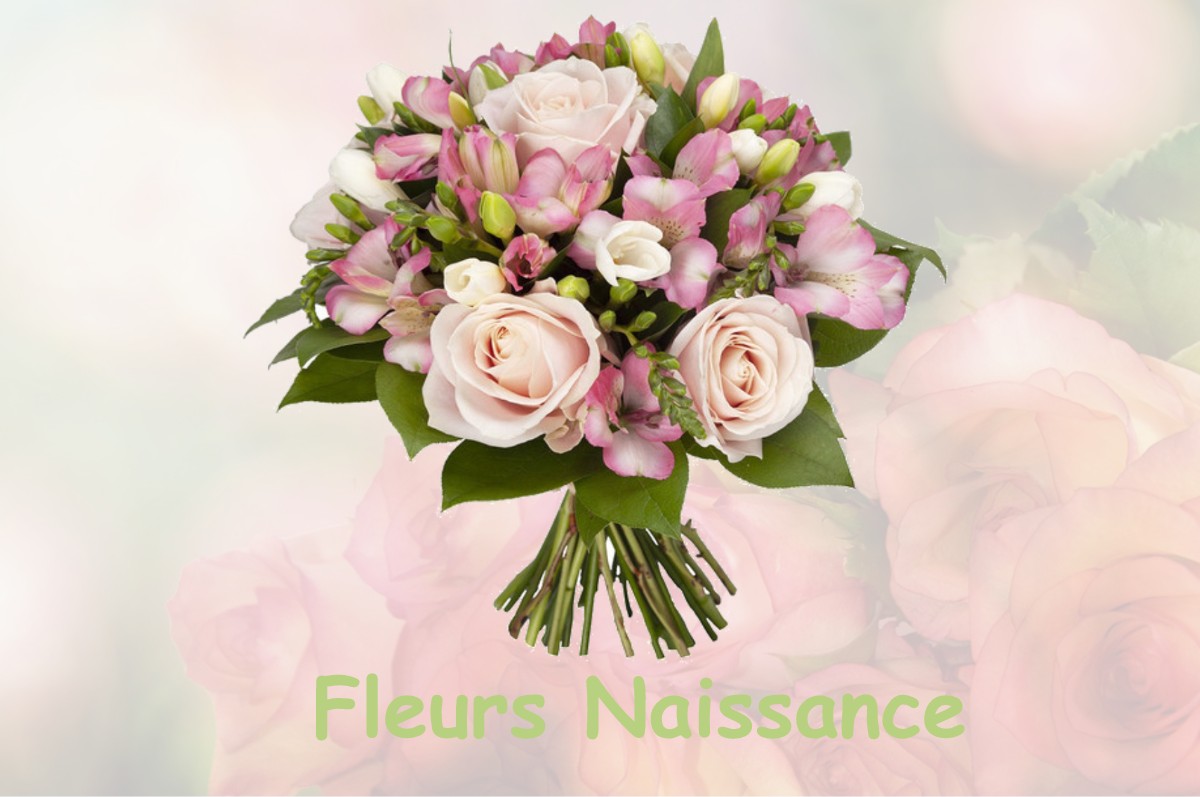 fleurs naissance SAINT-PIERRE-DES-CHAMPS